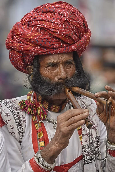 Braj Mahotsau festival, Bharatpur, Rajasthan, India, asia