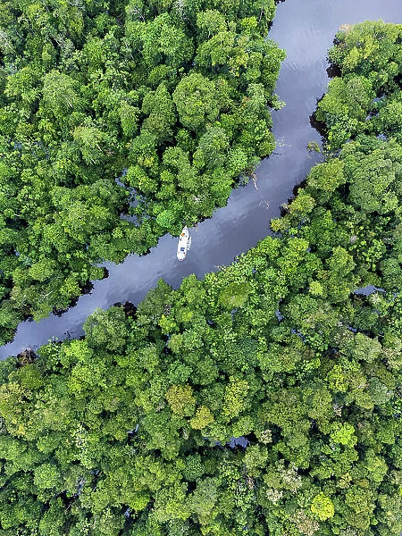 Brazil, Amazonas, Amazon rainforest, Anavilhanas Ecological Station & National Park, Aerial view of a river boat on the Rio Negro river in the Unesco World Heritage listed Central Amazon Conservation Complex