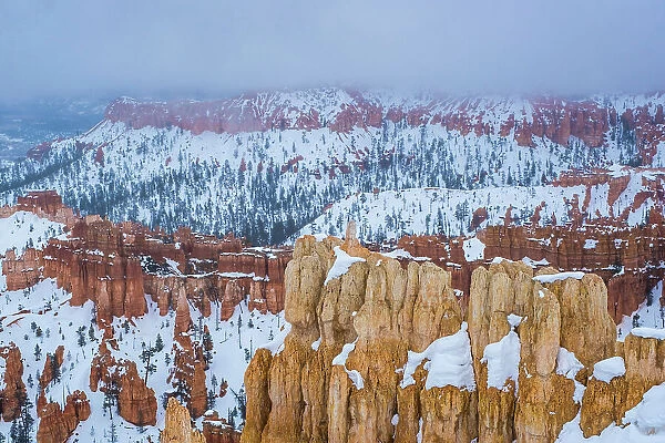 Bryce Canyon (National Park) in winter, Utah, USA