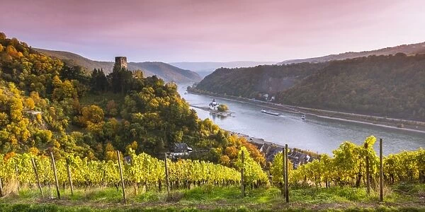 Burg Gutenfels at sunset, Kaub, Rhineland-Palatinate, Germany