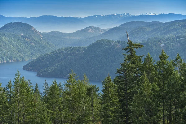 Canada, British Columbia Vancouver Island, Malahat, Finlayson Arm, Olympic Mountains