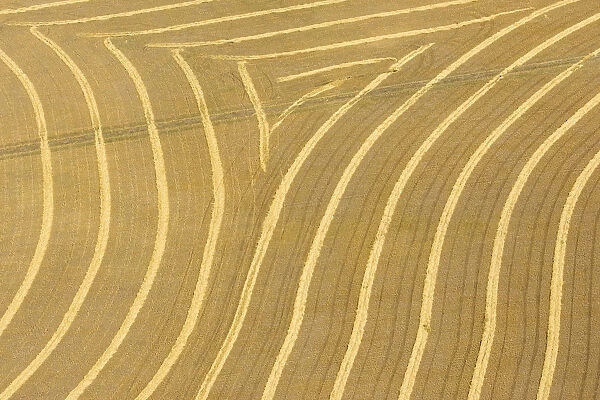 Canada. Patterns in the rows of crop on the prairie shot from an airplane