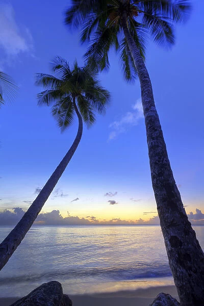 Caribbean, Barbados, Mullins Beach