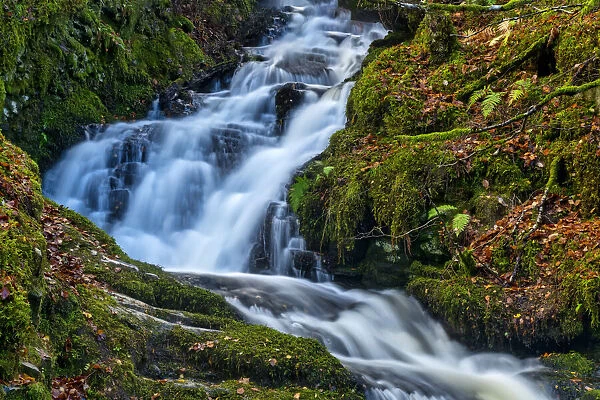 Cascading Waterfall in Autumn, Birks of Aberfeldy, Perth & Kinross, Scotland