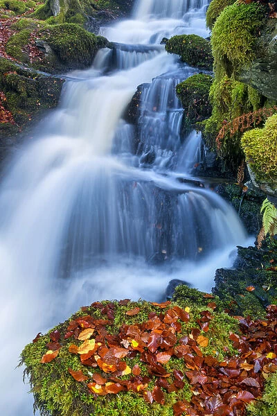Cascading Waterfall in Autumn, Birks of Aberfeldy, Perth & Kinross, Scotland