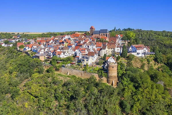 Castle village Neuleiningen near Grunstadt, Palatinate wine road, Rhineland-Palatinate, Germany