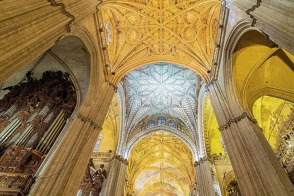 Ceiling, Seville cathedral, Seville, Andalusia, Spain