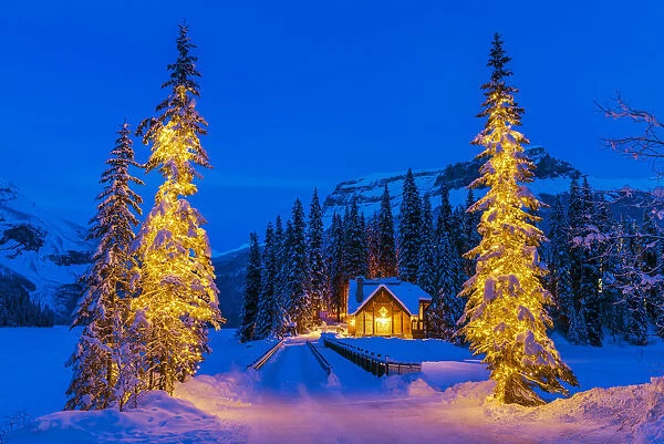 Christmas Trees at Emerald Lake, Yoho National Park, British Columbia, Canada