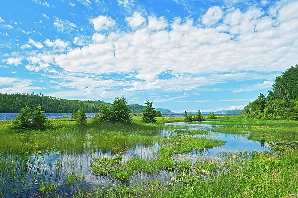 Clouds and wetland at Lake Nipigon in the boreal forest Near Macdiarmid, Ontario, Canada