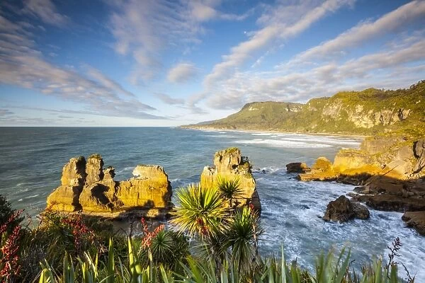 The coast at Punakaiki, West Coast, South Island, New Zealand