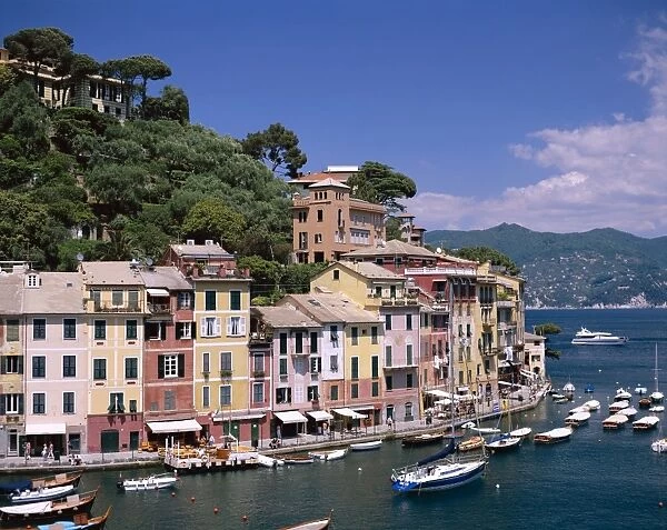 Coastal View  /  Village & Harbour & Yachts, Portofino, Liguria, Italy