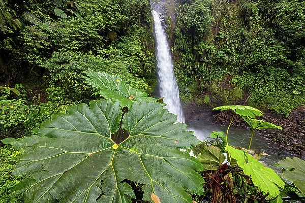 Costa Rica, La Paz waterfall