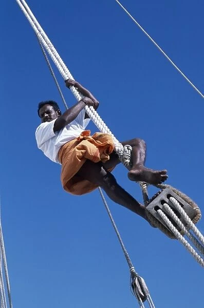 One of the crew members ofs  /  Y Sanjeeda up the rigging