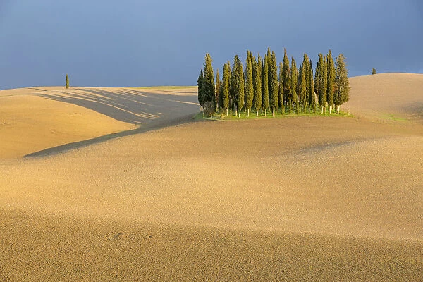 Cypress trees in Val d Orcia, plowed field and stormy weather. Tuscany, Italy