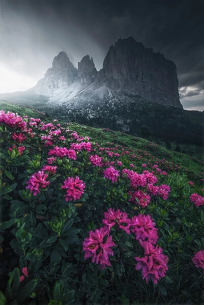 A dark edit for this image taken during a gloomy summer afternoon at the Sella Pass. Dolomites, Italy