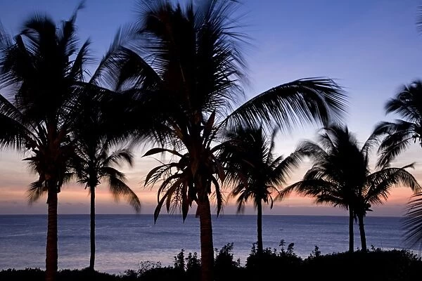 Dawn at the Pemba Beach Hotel near Pemba in northen Mozambique
