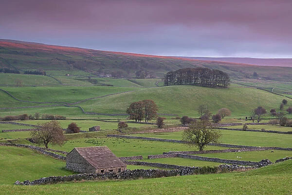 Dawn above the rolling countryside of Wensleydale near Hawes, Yorkshire Dales, England. Autumn (October) 2018