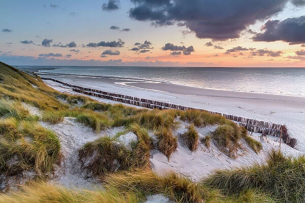 Dunes at National Park Schleswig-Holsteinisches Wattenmeer, Amrum island, North Sea, North Friesland, Germany, Europe