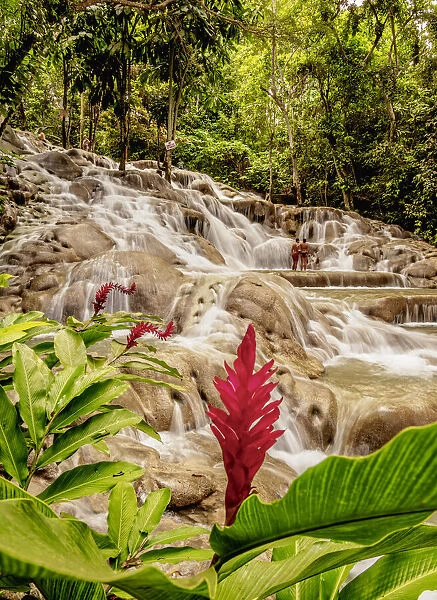 Dunns River Falls, Ocho Rios, Saint Ann Parish, Jamaica