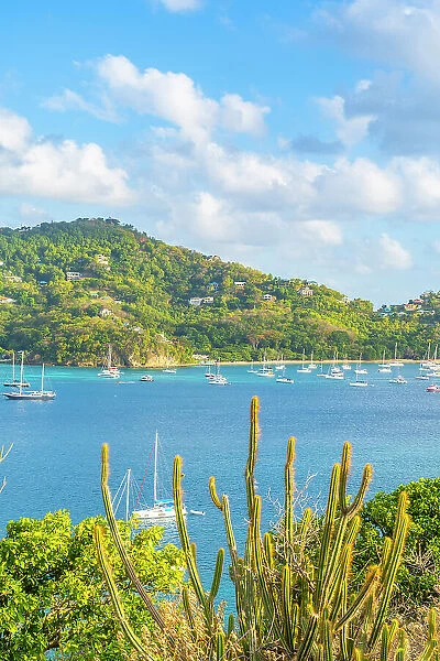 Elevated view over Belmont Bay, Bequia Island, Grenadine Islands, Saint Vincent and the Grenadines, Caribbean