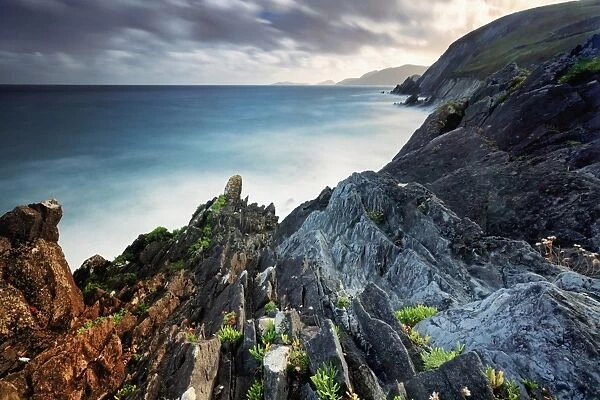 Europe, Ireland, Kerry, Slea Head sea stacks along Dingle peninsula