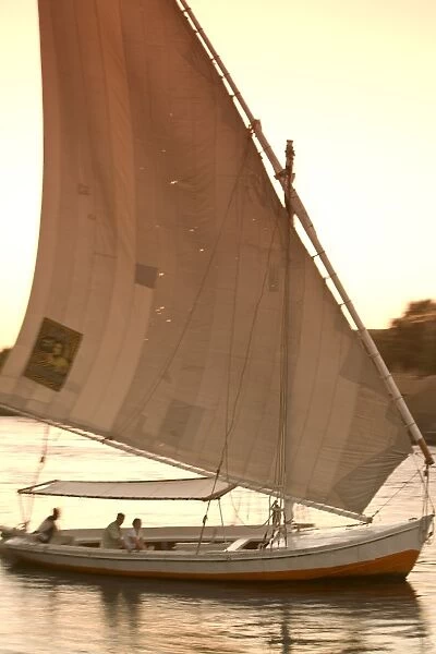 Felucca on River Nile