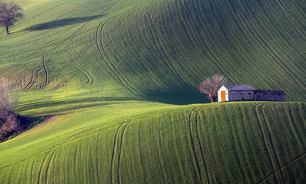 Fields cultivated in the Marche countryside, Monte San Giusto village, Macerata district