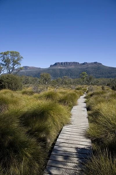 The final stretch of the Overland track to Narcissus Hut