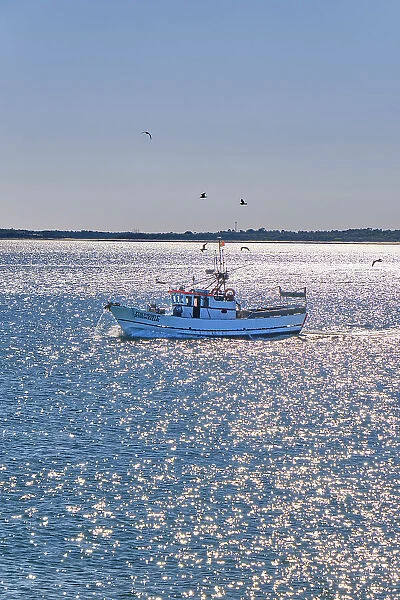 Fishing boat with seagulls, near the Arrabida Nature Park. Setubal, Portugal