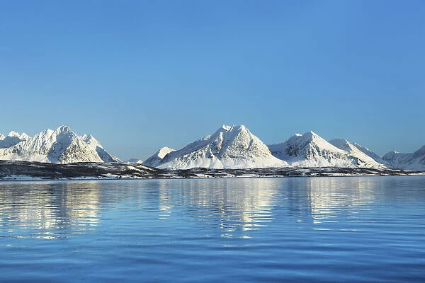 Fjord landscape with Lyngen Alps at Ullsfjord - Norway, Troms, Ullsfjord, Breivkeidet