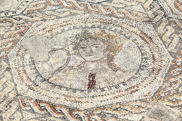 A floor mosaic in the ancient Roman ruins of Volubilis, near Meknes, Morocco