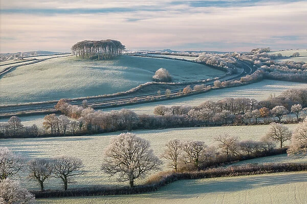 Frosty countryside with views to Cookworthy Knapp in the distance, Lifton, Devon, England. Autumn (November) 2023