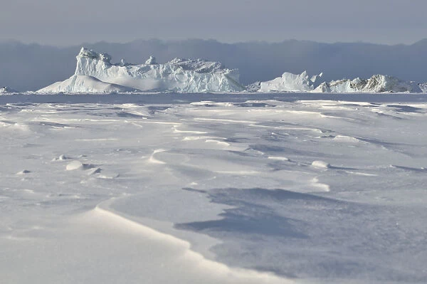 frozen fjord, Qeqertarsuaq, Disko Island, Greenland