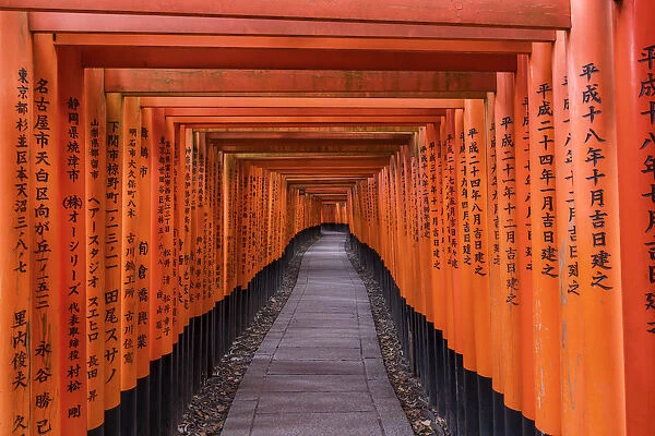 Fushimi Inari shrine, Torii gates, Kyoto, Japan