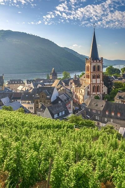Germany, Rhineland Palatinate, River Rhine, Bacharach, Church of Saint Peter (Sankt