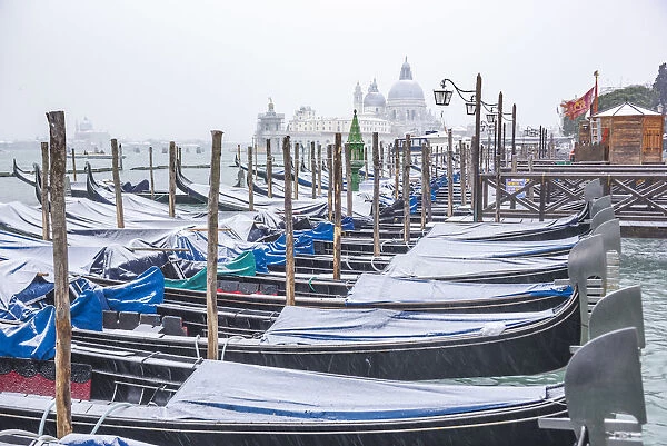 Gondolas with snow at St Marks waterfront, Venice, Veneto, Italy