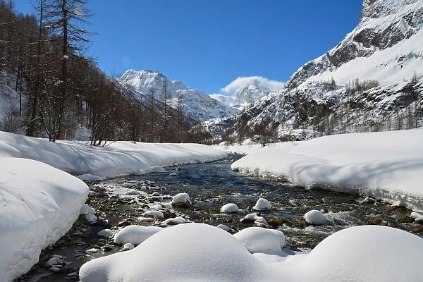 Gran Paradiso national park, Rhemes valley in the winter, Aosta valley, Italy, Europe