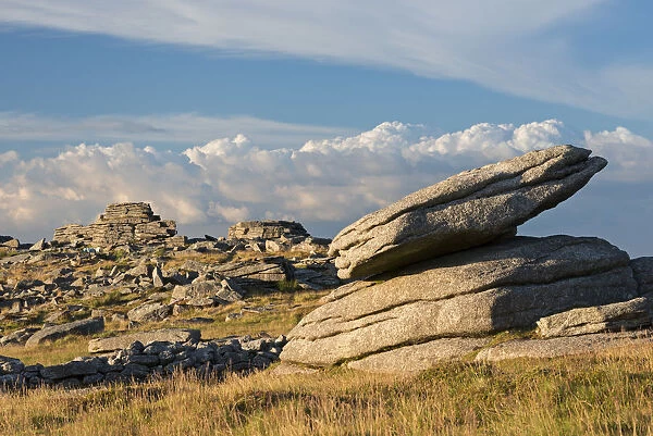 Granite outcrops at Higher Tor in Dartmoor National Park, Devon, England. Summer (July)