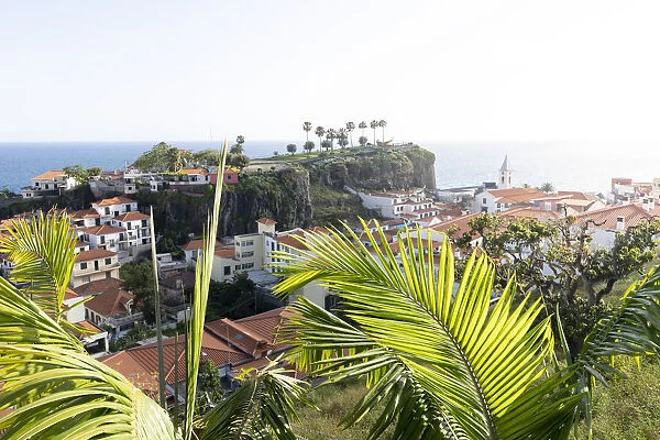 Green lush plants surrounding Camara de Lobos old town, Madeira island, Portugal