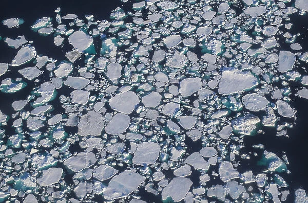 Greenland, Narsarsuaq-Area, Tunulliarfik Fjord, aerial view with floating ice