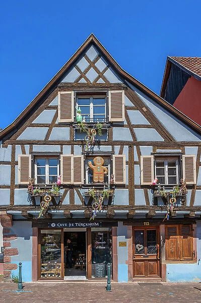 Half-timbered house at Kaysersberg, Haut-Rhin, Alsace, Alsace-Champagne-Ardenne-Lorraine, Grand Est, France