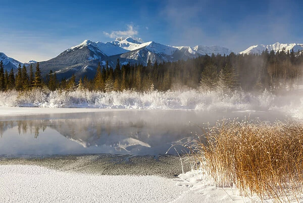 Hoar Frost along Vermillion Lakes, Banff National Park, Aberta, Canada