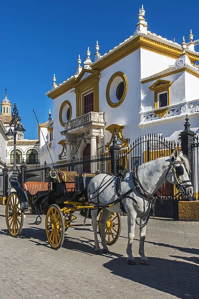Horse drawn carriage in front of the Plaza de toros de la Real Maestranza de Caballeria