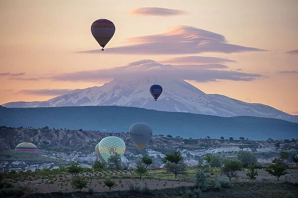 Hot air balloons at dawn in front of Mount Erciyes, Goreme, Cappadocia, Nevsehir Province, Central Anatolia, Turkey