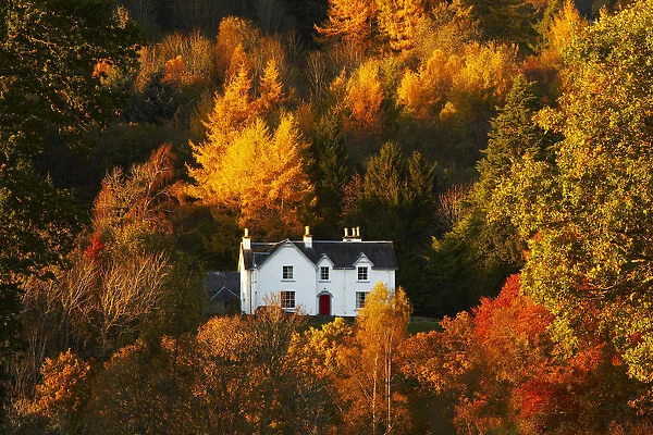 House in Autumn Woodland, Tayside Region, Perthshire, Scotland