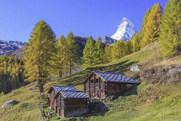 Huts on the pastures of Zermatt surrounded by yellowed larches and the Matterhorn