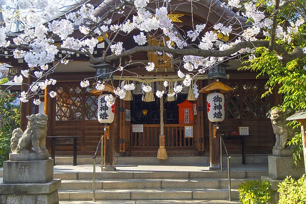 Ichinomiya shrine, Kobe, Kansai, Japan