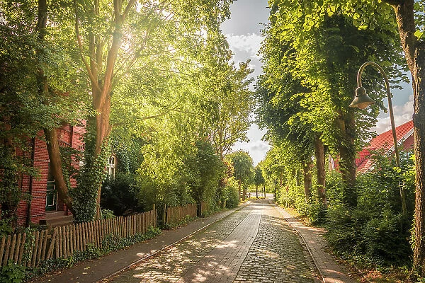 Idyllic alley in the village of Pilsum, Krummhoern, East Frisia, Lower Saxony, Germany