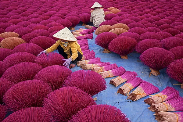 Incense workers sits surrounded by thousands of incense sticks in Quang Phu Cau, Hanoi