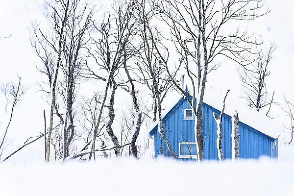 Isolated house covered with snow framed by frozen trees, Kvaloya, Sommaroy, Troms county, Norway